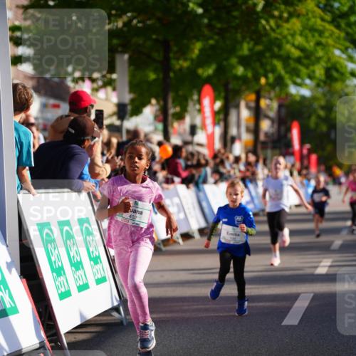 20.09.2026 - PSD Bank Halbmarathon LAZAROV Photography http://msf.ph/oto/10512174 20.09.2026 10:33:28 Laufen  meine-sportfotos.de