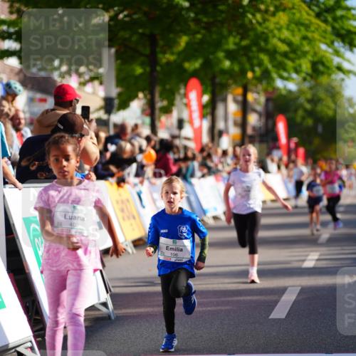 20.09.2026 - PSD Bank Halbmarathon LAZAROV Photography http://msf.ph/oto/10512184 20.09.2026 10:33:28 Laufen 402, 7, 99, 106 meine-sportfotos.de