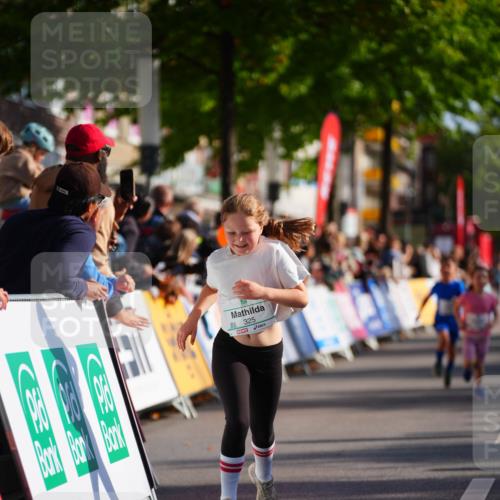 20.09.2026 - PSD Bank Halbmarathon LAZAROV Photography http://msf.ph/oto/10512247 20.09.2026 10:33:38 Laufen  meine-sportfotos.de