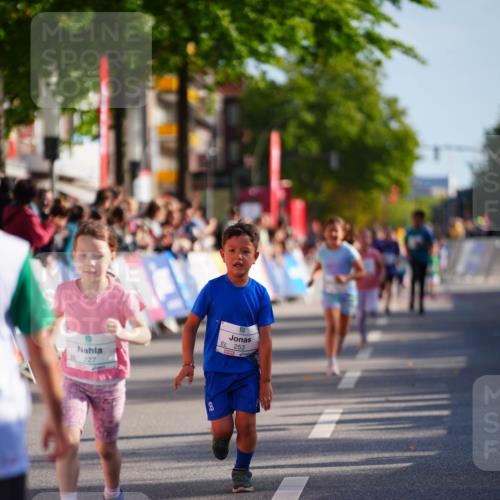 20.09.2026 - PSD Bank Halbmarathon LAZAROV Photography http://msf.ph/oto/10512283 20.09.2026 10:33:42 Laufen 227, 99, 253 meine-sportfotos.de