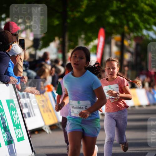 20.09.2026 - PSD Bank Halbmarathon LAZAROV Photography http://msf.ph/oto/10512291 20.09.2026 10:33:48 Laufen  meine-sportfotos.de