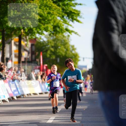 20.09.2026 - PSD Bank Halbmarathon LAZAROV Photography http://msf.ph/oto/10512309 20.09.2026 10:33:50 Laufen  meine-sportfotos.de