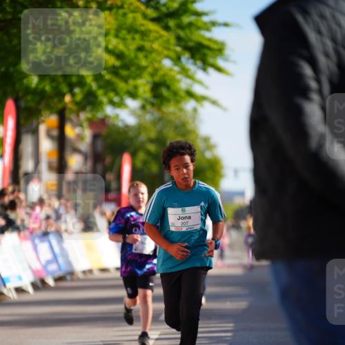 20.09.2026 - PSD Bank Halbmarathon LAZAROV Photography http://msf.ph/oto/10512324 20.09.2026 10:33:52 Laufen  meine-sportfotos.de