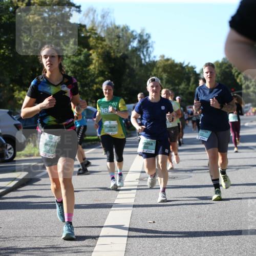20.09.2026 - PSD Bank Halbmarathon Jannik Wohlers http://msf.ph/oto/10512389 20.09.2026 10:42:52 Laufen 3564, 1868, 1613 meine-sportfotos.de