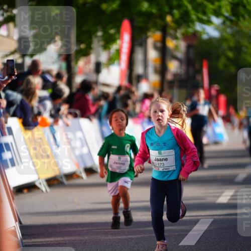 20.09.2026 - PSD Bank Halbmarathon LAZAROV Photography http://msf.ph/oto/10512407 20.09.2026 10:33:59 Laufen 173 meine-sportfotos.de