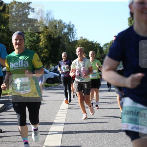 20.09.2026 - PSD Bank Halbmarathon Jannik Wohlers http://msf.ph/oto/10512416 20.09.2026 10:42:54 Laufen 4205, 958, 3959, 389, 1388 meine-sportfotos.de
