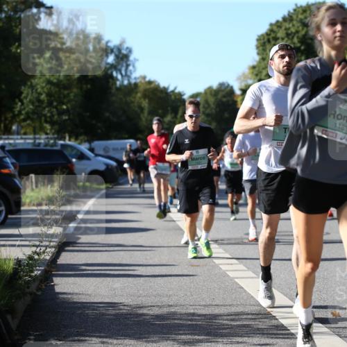 20.09.2026 - PSD Bank Halbmarathon Jannik Wohlers http://msf.ph/oto/10512434 20.09.2026 10:31:47 Laufen 1621, 1183 meine-sportfotos.de