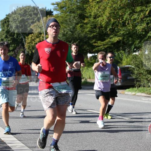 20.09.2026 - PSD Bank Halbmarathon Jannik Wohlers http://msf.ph/oto/10512519 20.09.2026 10:31:52 Laufen  meine-sportfotos.de