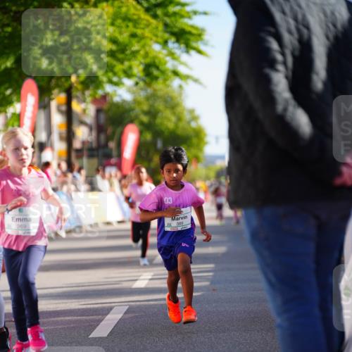 20.09.2026 - PSD Bank Halbmarathon LAZAROV Photography http://msf.ph/oto/10512539 20.09.2026 10:34:12 Laufen 269, 03, 389 meine-sportfotos.de