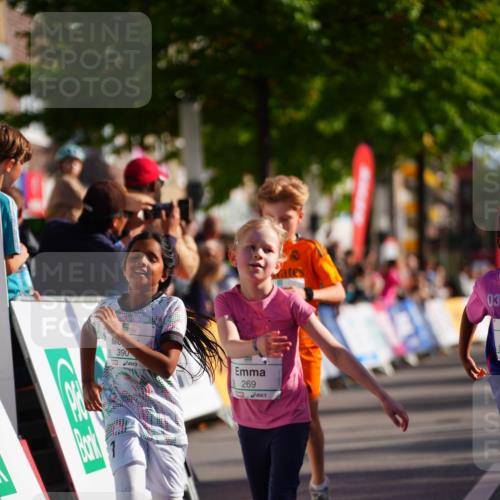 20.09.2026 - PSD Bank Halbmarathon LAZAROV Photography http://msf.ph/oto/10512554 20.09.2026 10:34:13 Laufen 269 meine-sportfotos.de