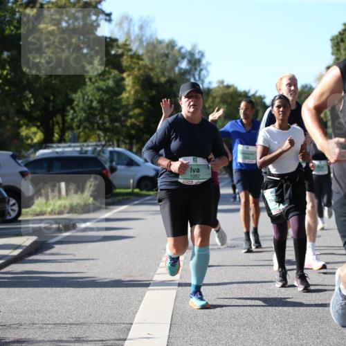 20.09.2026 - PSD Bank Halbmarathon Jannik Wohlers http://msf.ph/oto/10512578 20.09.2026 10:43:20 Laufen 1082, 2921 meine-sportfotos.de