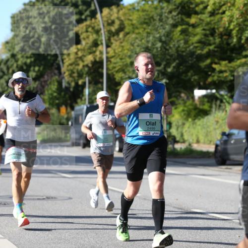 20.09.2026 - PSD Bank Halbmarathon Jannik Wohlers http://msf.ph/oto/10512629 20.09.2026 10:32:02 Laufen 3737, 3323, 2499, 4386 meine-sportfotos.de