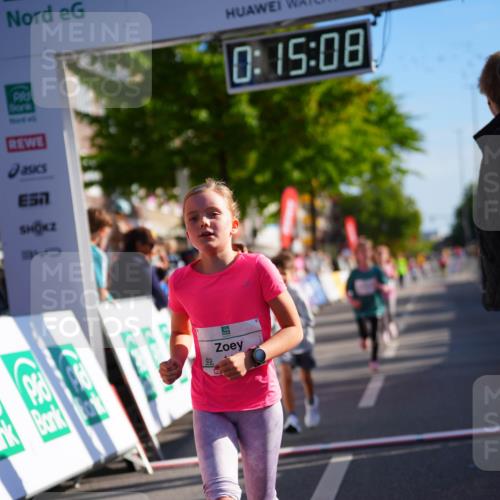 20.09.2026 - PSD Bank Halbmarathon LAZAROV Photography http://msf.ph/oto/10512740 20.09.2026 10:34:32 Laufen 0, 15, 08, 990 meine-sportfotos.de