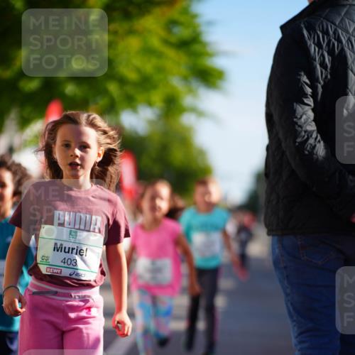 20.09.2026 - PSD Bank Halbmarathon LAZAROV Photography http://msf.ph/oto/10512874 20.09.2026 10:34:55 Laufen 403 meine-sportfotos.de