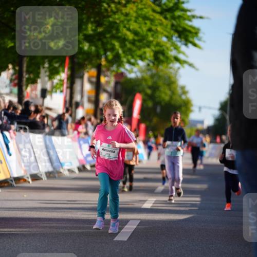 20.09.2026 - PSD Bank Halbmarathon LAZAROV Photography http://msf.ph/oto/10512918 20.09.2026 10:35:00 Laufen 378 meine-sportfotos.de