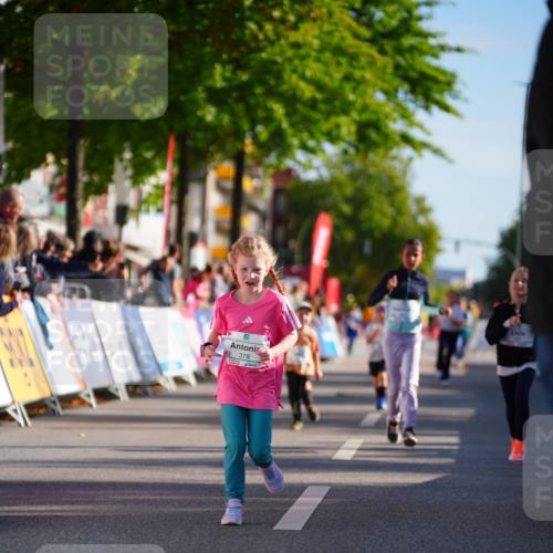 20.09.2026 - PSD Bank Halbmarathon LAZAROV Photography http://msf.ph/oto/10512923 20.09.2026 10:35:00 Laufen 378 meine-sportfotos.de
