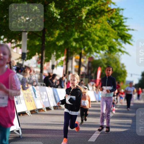 20.09.2026 - PSD Bank Halbmarathon LAZAROV Photography http://msf.ph/oto/10512951 20.09.2026 10:35:02 Laufen  meine-sportfotos.de