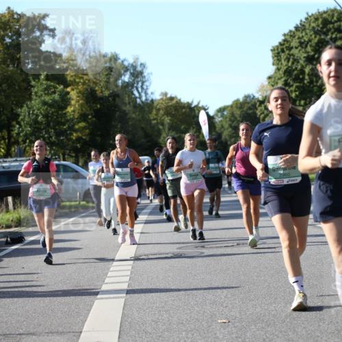 20.09.2026 - PSD Bank Halbmarathon Jannik Wohlers http://msf.ph/oto/10513013 20.09.2026 10:44:22 Laufen 2960, 3409 meine-sportfotos.de