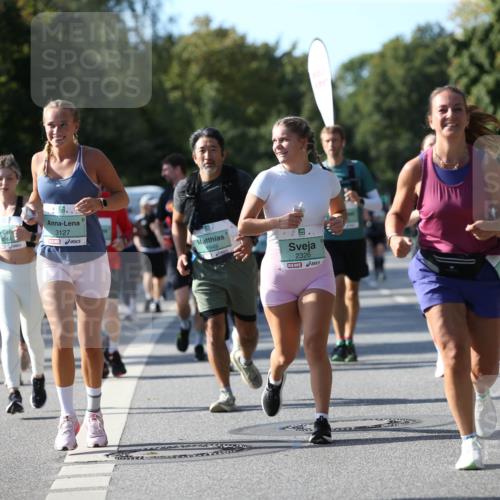 20.09.2026 - PSD Bank Halbmarathon Jannik Wohlers http://msf.ph/oto/10513025 20.09.2026 10:44:23 Laufen 3127, 1949, 1, 2326 meine-sportfotos.de