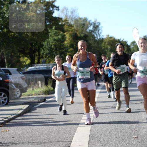 20.09.2026 - PSD Bank Halbmarathon Jannik Wohlers http://msf.ph/oto/10513035 20.09.2026 10:44:25 Laufen 7, 3127, 2326 meine-sportfotos.de