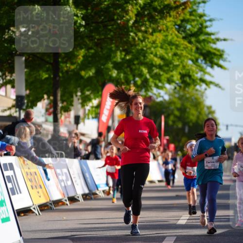 20.09.2026 - PSD Bank Halbmarathon LAZAROV Photography http://msf.ph/oto/10513059 20.09.2026 10:35:14 Laufen 203 meine-sportfotos.de