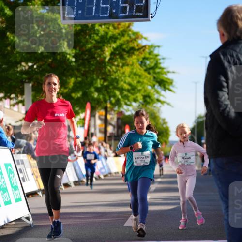 20.09.2026 - PSD Bank Halbmarathon LAZAROV Photography http://msf.ph/oto/10513081 20.09.2026 10:35:16 Laufen 203, 287 meine-sportfotos.de