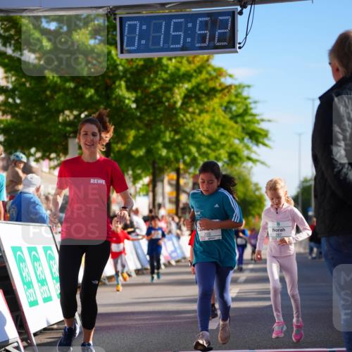 20.09.2026 - PSD Bank Halbmarathon LAZAROV Photography http://msf.ph/oto/10513090 20.09.2026 10:35:16 Laufen 0, 06, 68, 203, 287 meine-sportfotos.de