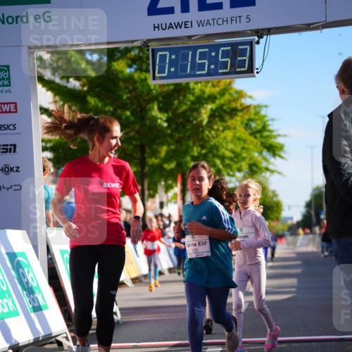 20.09.2026 - PSD Bank Halbmarathon LAZAROV Photography http://msf.ph/oto/10513107 20.09.2026 10:35:17 Laufen 34, 5, 0, 85, 58, 203 meine-sportfotos.de