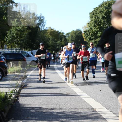 20.09.2026 - PSD Bank Halbmarathon Jannik Wohlers http://msf.ph/oto/10513177 20.09.2026 10:32:55 Laufen  meine-sportfotos.de