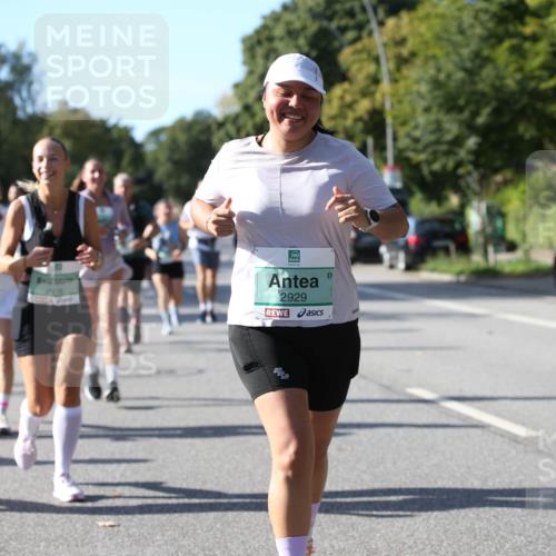 20.09.2026 - PSD Bank Halbmarathon Jannik Wohlers http://msf.ph/oto/10513178 20.09.2026 10:44:49 Laufen 2178, 2929 meine-sportfotos.de