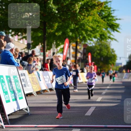 20.09.2026 - PSD Bank Halbmarathon LAZAROV Photography http://msf.ph/oto/10513182 20.09.2026 10:35:26 Laufen  meine-sportfotos.de