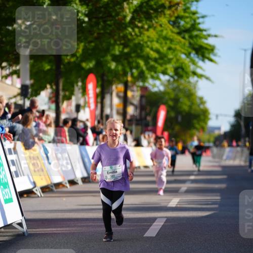 20.09.2026 - PSD Bank Halbmarathon LAZAROV Photography http://msf.ph/oto/10513195 20.09.2026 10:35:29 Laufen 385 meine-sportfotos.de