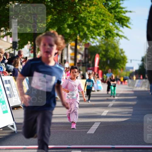 20.09.2026 - PSD Bank Halbmarathon LAZAROV Photography http://msf.ph/oto/10513236 20.09.2026 10:35:33 Laufen 2366 meine-sportfotos.de