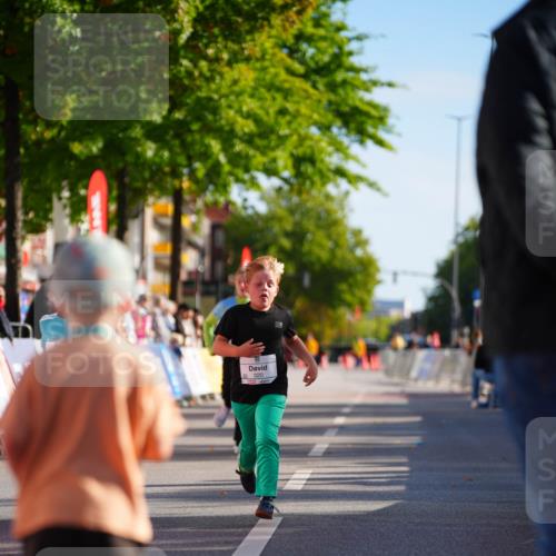 20.09.2026 - PSD Bank Halbmarathon LAZAROV Photography http://msf.ph/oto/10513257 20.09.2026 10:35:37 Laufen 320 meine-sportfotos.de