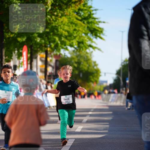 20.09.2026 - PSD Bank Halbmarathon LAZAROV Photography http://msf.ph/oto/10513270 20.09.2026 10:35:37 Laufen 192, 320 meine-sportfotos.de