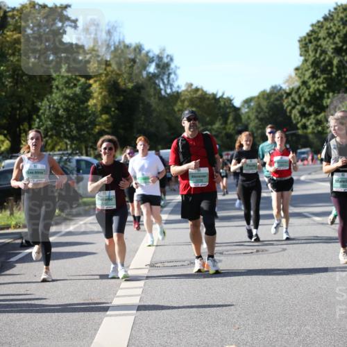 20.09.2026 - PSD Bank Halbmarathon Jannik Wohlers http://msf.ph/oto/10513307 20.09.2026 10:45:06 Laufen 4201, 3728 meine-sportfotos.de