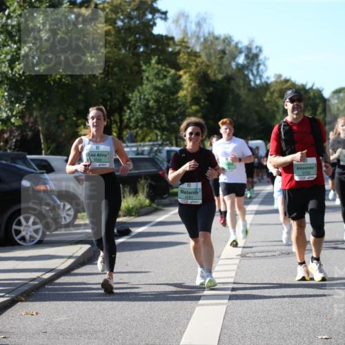20.09.2026 - PSD Bank Halbmarathon Jannik Wohlers http://msf.ph/oto/10513317 20.09.2026 10:45:06 Laufen 3588, 4201, 3728 meine-sportfotos.de