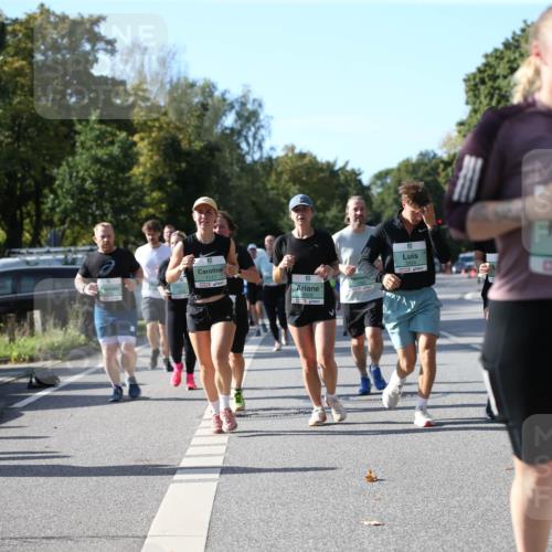 20.09.2026 - PSD Bank Halbmarathon Jannik Wohlers http://msf.ph/oto/10513465 20.09.2026 10:45:22 Laufen 3928, 3924, 2381 meine-sportfotos.de