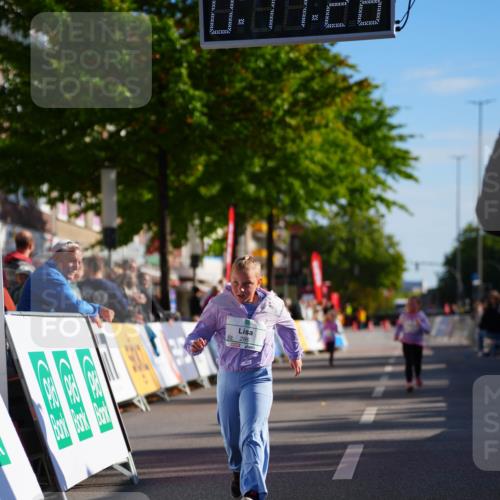 20.09.2026 - PSD Bank Halbmarathon LAZAROV Photography http://msf.ph/oto/10513495 20.09.2026 10:36:50 Laufen  meine-sportfotos.de
