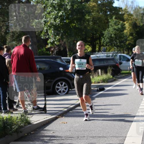20.09.2026 - PSD Bank Halbmarathon Jannik Wohlers http://msf.ph/oto/10513584 20.09.2026 10:45:38 Laufen 2402 meine-sportfotos.de