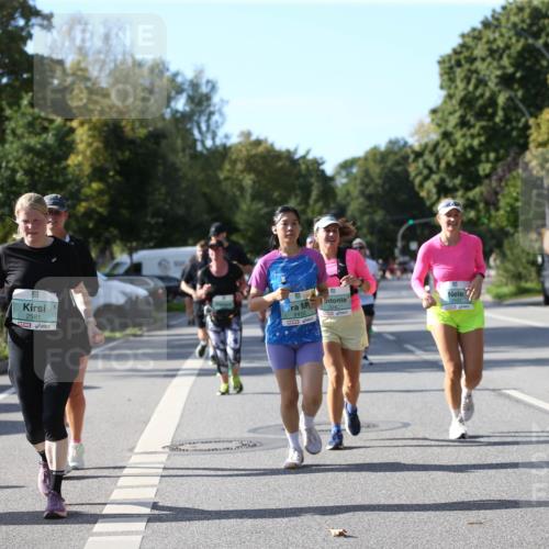20.09.2026 - PSD Bank Halbmarathon Jannik Wohlers http://msf.ph/oto/10513596 20.09.2026 10:45:41 Laufen 1974, 2581, 2430 meine-sportfotos.de