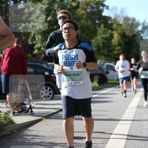 20.09.2026 - PSD Bank Halbmarathon Jannik Wohlers http://msf.ph/oto/10513792 20.09.2026 10:46:07 Laufen 4274, 2671 meine-sportfotos.de