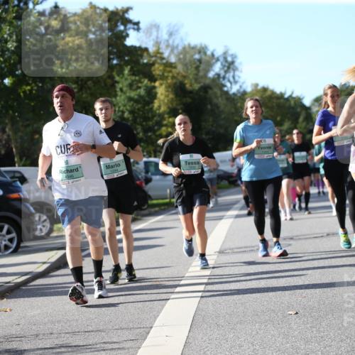 20.09.2026 - PSD Bank Halbmarathon Jannik Wohlers http://msf.ph/oto/10513815 20.09.2026 10:46:11 Laufen 4346, 1294, 1932, 1594, 1136 meine-sportfotos.de