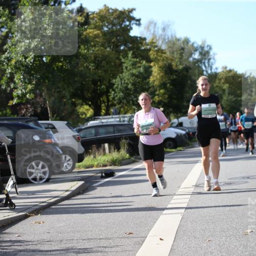 20.09.2026 - PSD Bank Halbmarathon Jannik Wohlers http://msf.ph/oto/10514013 20.09.2026 10:46:31 Laufen 3404, 2717 meine-sportfotos.de