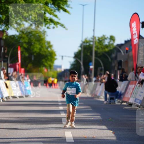 20.09.2026 - PSD Bank Halbmarathon LAZAROV Photography http://msf.ph/oto/10514020 20.09.2026 10:43:23 Laufen  meine-sportfotos.de