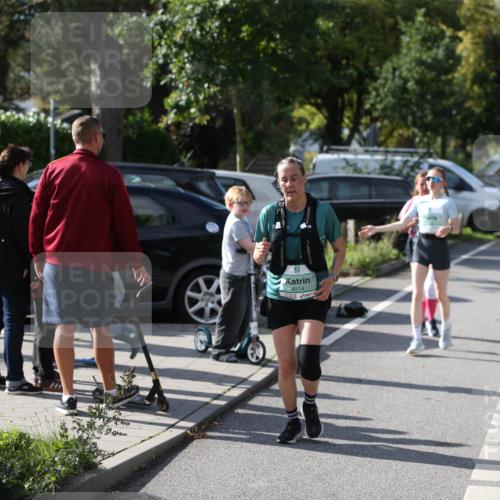 20.09.2026 - PSD Bank Halbmarathon Jannik Wohlers http://msf.ph/oto/10514689 20.09.2026 10:47:56 Laufen 4514 meine-sportfotos.de