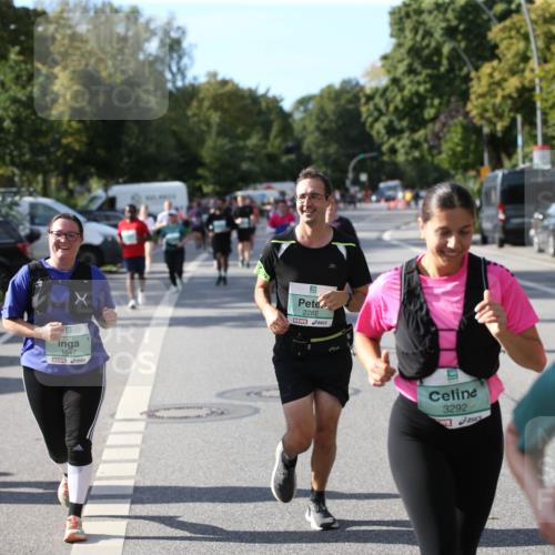 20.09.2026 - PSD Bank Halbmarathon Jannik Wohlers http://msf.ph/oto/10514746 20.09.2026 10:48:10 Laufen 2454, 1847, 2282, 3292, 24, 1674 meine-sportfotos.de