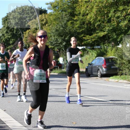 20.09.2026 - PSD Bank Halbmarathon Jannik Wohlers http://msf.ph/oto/10514827 20.09.2026 10:36:00 Laufen 2368 meine-sportfotos.de