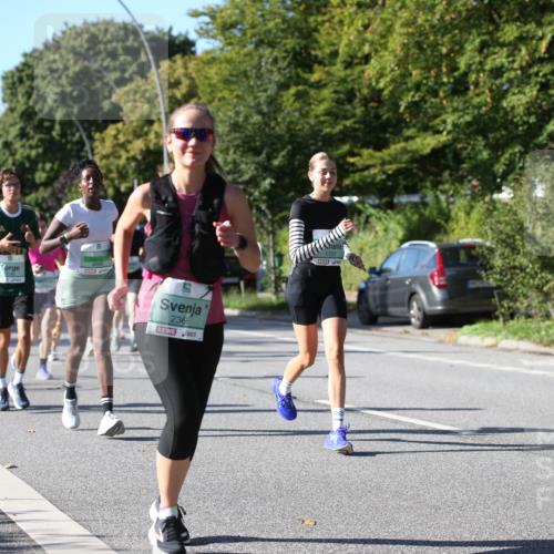 20.09.2026 - PSD Bank Halbmarathon Jannik Wohlers http://msf.ph/oto/10514833 20.09.2026 10:36:00 Laufen 2368, 1727 meine-sportfotos.de