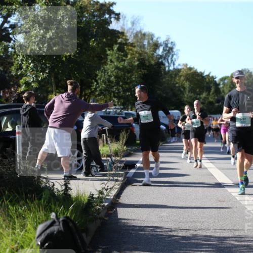 20.09.2026 - PSD Bank Halbmarathon Jannik Wohlers http://msf.ph/oto/10515100 20.09.2026 10:36:25 Laufen 3288 meine-sportfotos.de